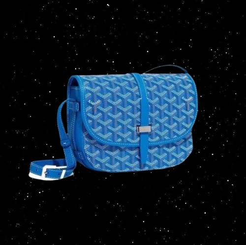 Goyard Bag