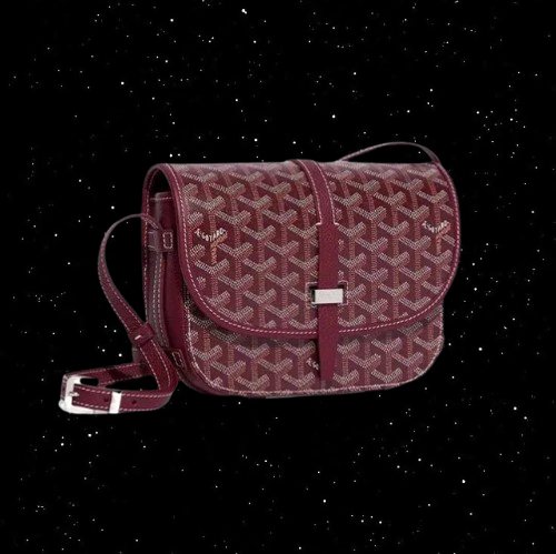 Goyard Bag
